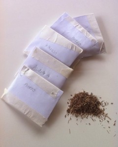 Seeds / Semillas / Samen