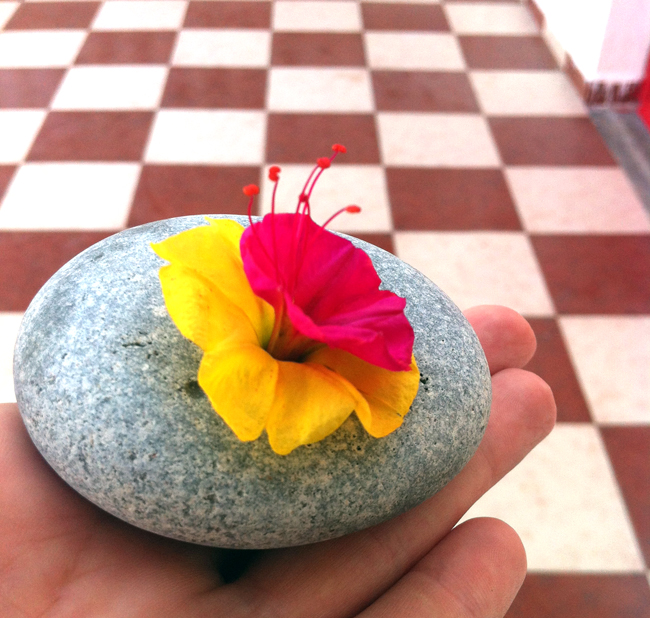 blüten kinder stein basteln deko deco kids craft rock flower ninos manualidad decoracion piedra