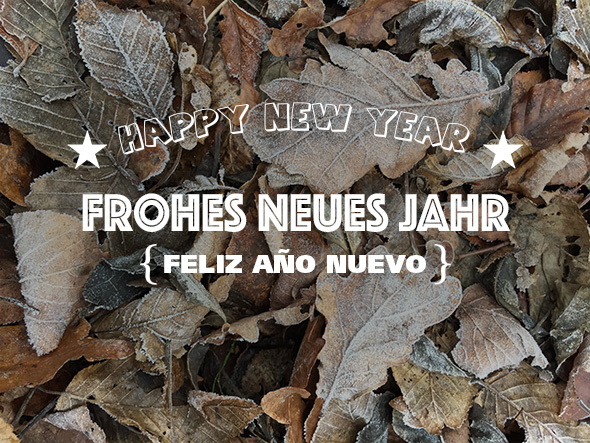 FELIZ AÑO NUEVO FROHES NEUES JAHR HAPPY NEW YEAR