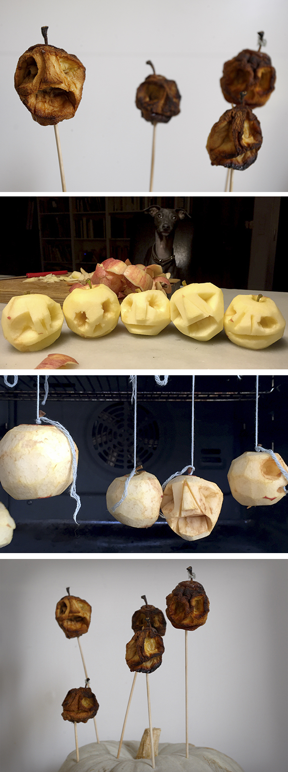 Halloween instrucion  dead shrunkheads köpfe heads manzanas apples äpfel